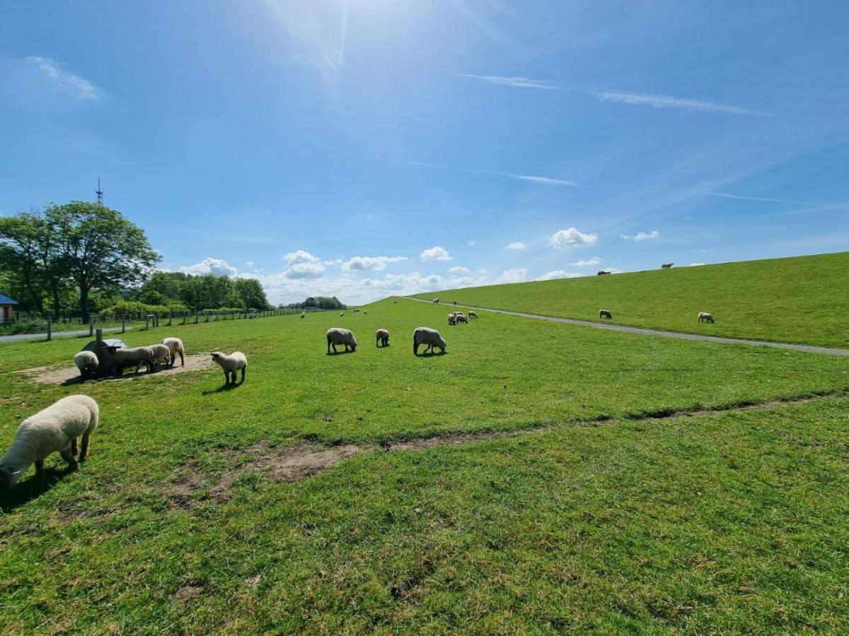 Ferienhaus Moewennest Villa Norden Luaran gambar